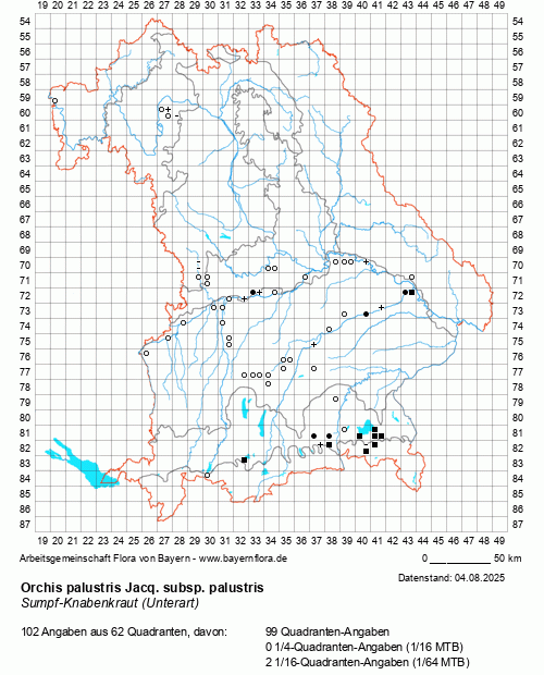 Die Verbreitungskarte zu Orchis palustris Jacq. subsp. palustris wird geladen ...