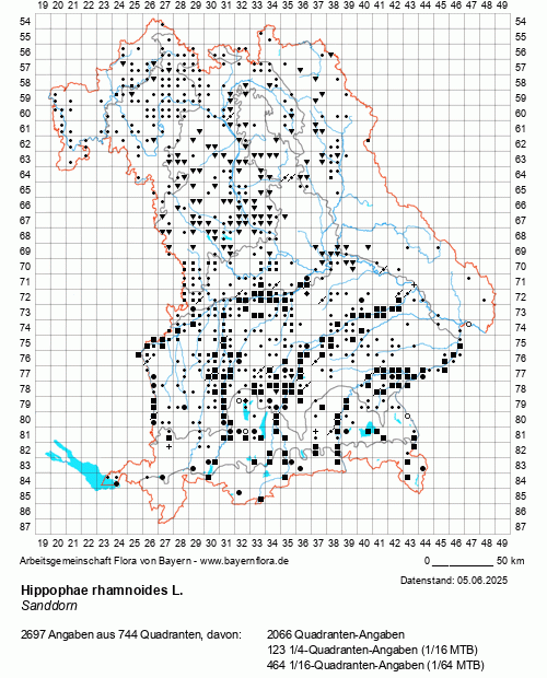 Die Verbreitungskarte zu Hippophae rhamnoides L. wird geladen ...