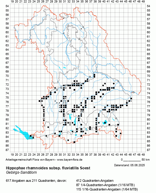 Die Verbreitungskarte zu Hippophae rhamnoides subsp. fluviatilis Soest wird geladen ...