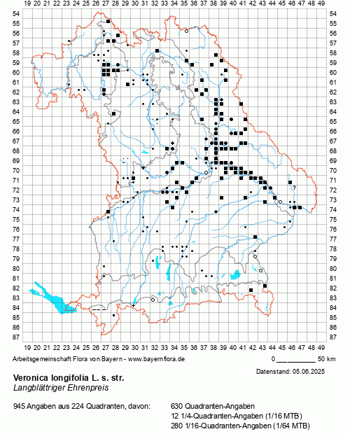 Die Verbreitungskarte zu Veronica longifolia L. s. str. wird geladen ...
