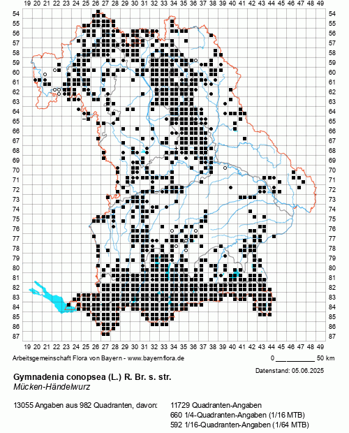 Die Verbreitungskarte zu Gymnadenia conopsea (L.) R. Br. s. str. wird geladen ...