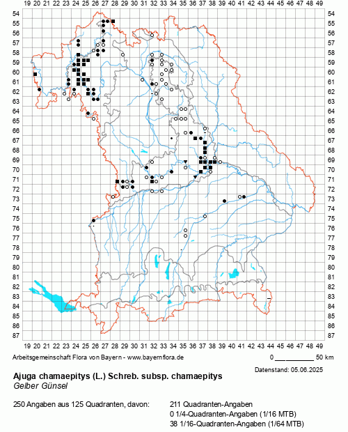 Die Verbreitungskarte zu Ajuga chamaepitys (L.) Schreb. subsp. chamaepitys wird geladen ...