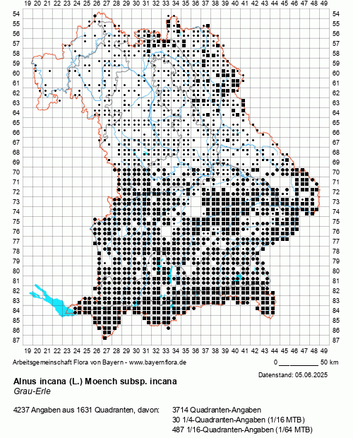 Die Verbreitungskarte zu Alnus incana (L.) Moench subsp. incana wird geladen ...