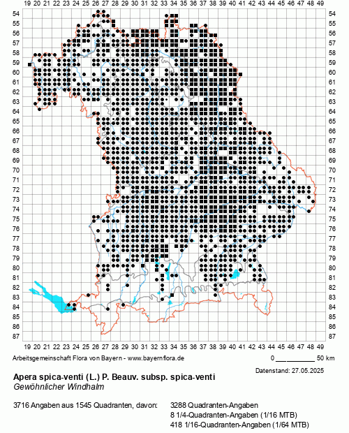 Die Verbreitungskarte zu Apera spica-venti (L.) P. Beauv. subsp. spica-venti wird geladen ...