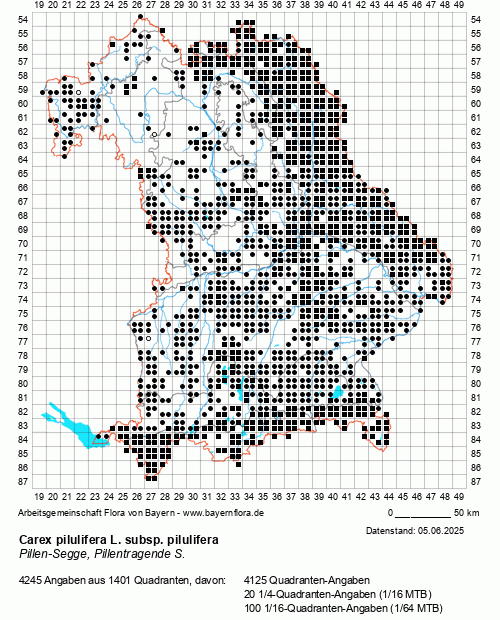 Die Verbreitungskarte zu Carex pilulifera L. subsp. pilulifera wird geladen ...
