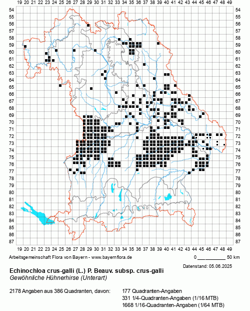 Die Verbreitungskarte zu Echinochloa crus-galli (L.) P. Beauv. subsp. crus-galli wird geladen ...