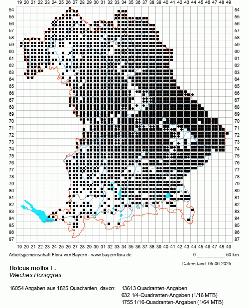 Die Verbreitungskarte zu Holcus mollis L. wird geladen ...