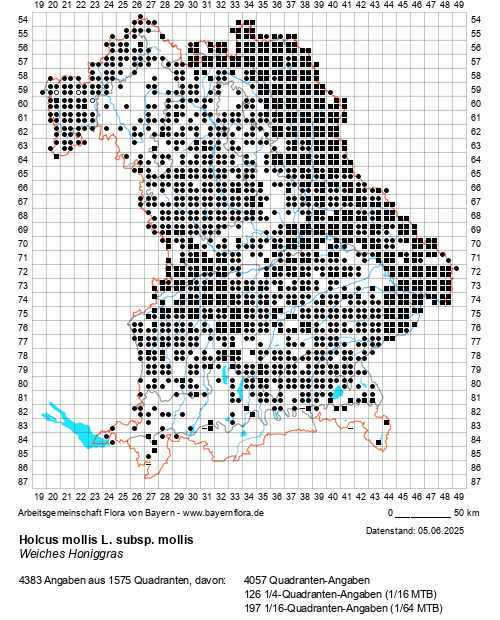 Die Verbreitungskarte zu Holcus mollis L. subsp. mollis wird geladen ...