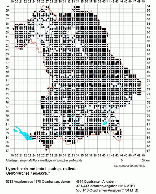 Die Verbreitungskarte zu Hypochaeris radicata L. subsp. radicata wird geladen ...