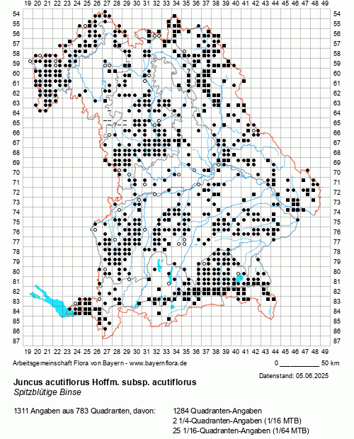 Die Verbreitungskarte zu Juncus acutiflorus Hoffm. subsp. acutiflorus wird geladen ...