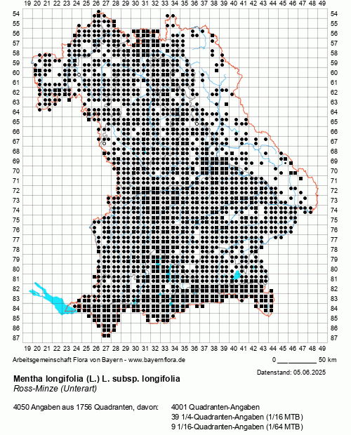 Die Verbreitungskarte zu Mentha longifolia (L.) L. subsp. longifolia wird geladen ...