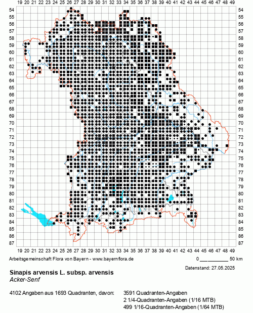 Die Verbreitungskarte zu Sinapis arvensis L. subsp. arvensis wird geladen ...