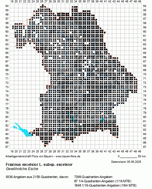Die Verbreitungskarte zu Fraxinus excelsior L. subsp. excelsior wird geladen ...