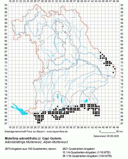 Die Verbreitungskarte zu Mutellina adonidifolia (J. Gay) Guterm. wird geladen ...