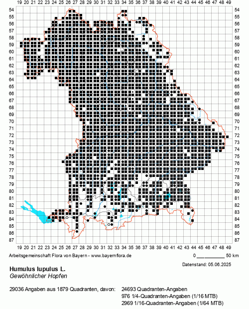 Die Verbreitungskarte zu Humulus lupulus L. wird geladen ...