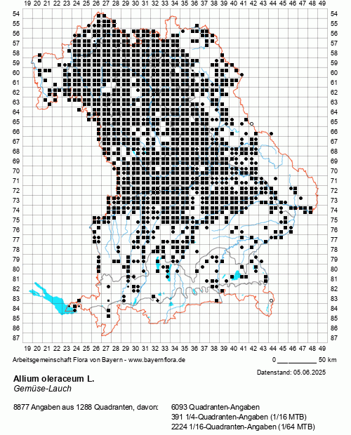 Die Verbreitungskarte zu Allium oleraceum L. wird geladen ...