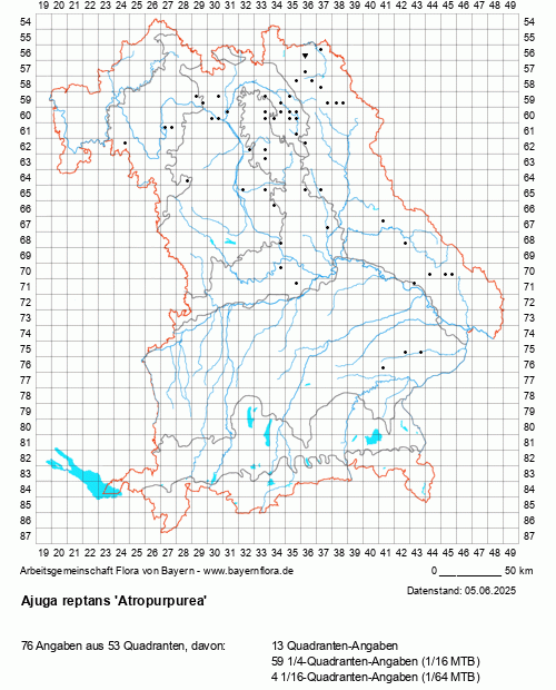 Die Verbreitungskarte zu Ajuga reptans 