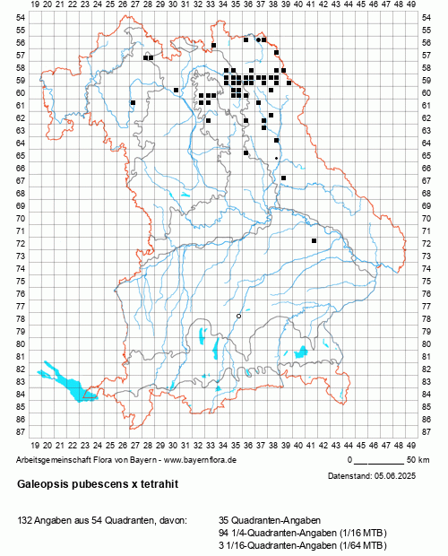 Die Verbreitungskarte zu Galeopsis pubescens x tetrahit wird geladen ...