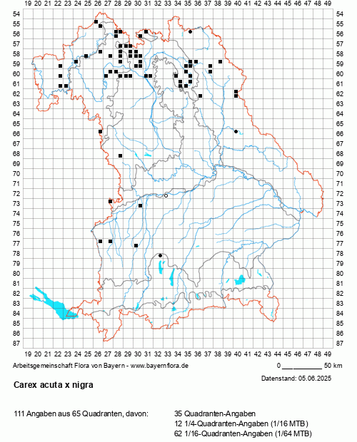 Die Verbreitungskarte zu Carex acuta x nigra wird geladen ...