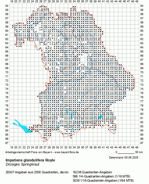 Die Verbreitungskarte zu Impatiens glandulifera Royle wird geladen ...