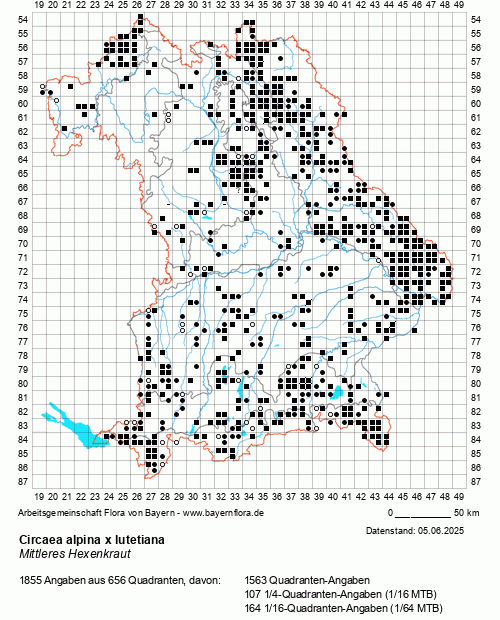 Die Verbreitungskarte zu Circaea alpina x lutetiana wird geladen ...