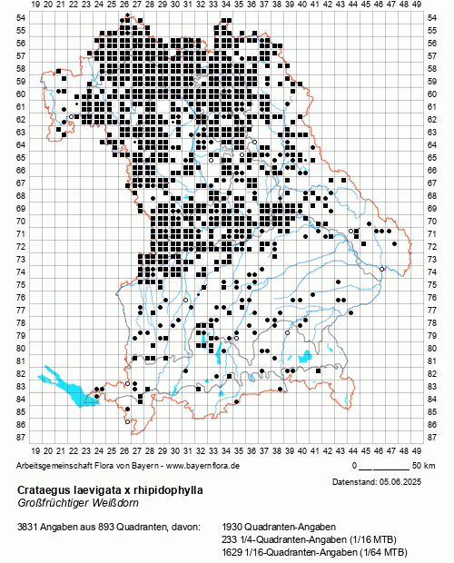 Die Verbreitungskarte zu Crataegus laevigata x rhipidophylla wird geladen ...