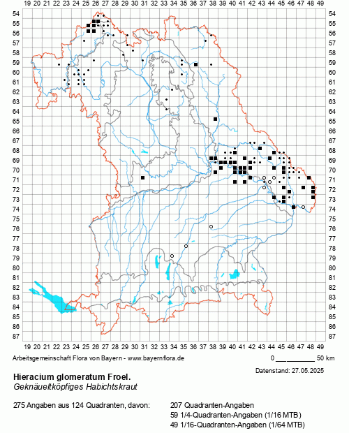 Die Verbreitungskarte zu Hieracium glomeratum Froel. wird geladen ...