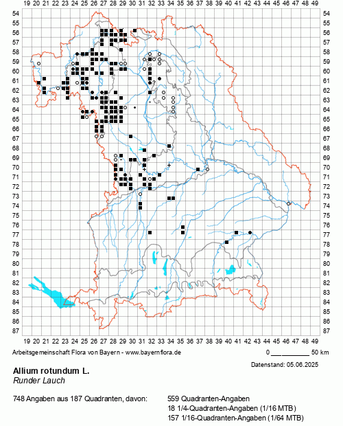 Die Verbreitungskarte zu Allium rotundum L. wird geladen ...