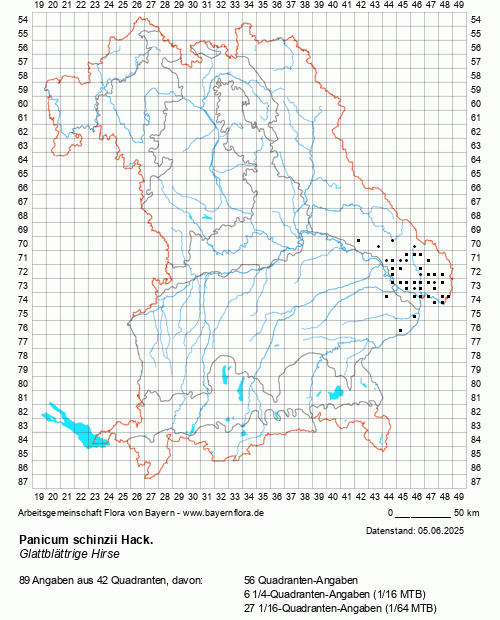 Die Verbreitungskarte zu Panicum schinzii Hack. wird geladen ...