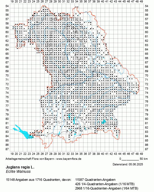 Die Verbreitungskarte zu Juglans regia L. wird geladen ...