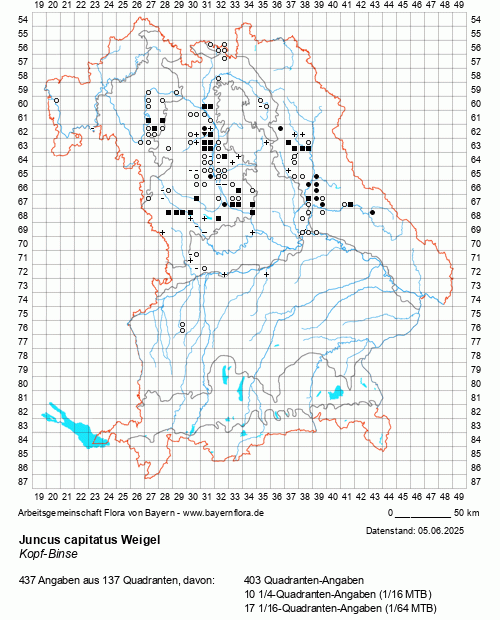 Die Verbreitungskarte zu Juncus capitatus Weigel wird geladen ...