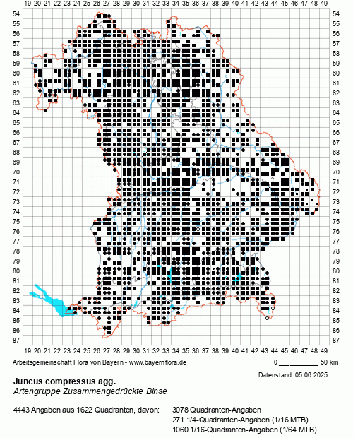 Die Verbreitungskarte zu Juncus compressus agg. wird geladen ...