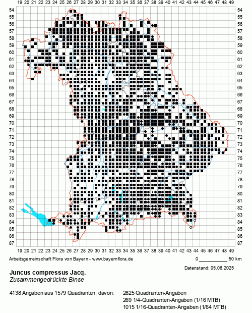 Die Verbreitungskarte zu Juncus compressus Jacq. wird geladen ...