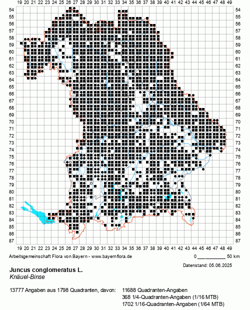Die Verbreitungskarte zu Juncus conglomeratus L. wird geladen ...