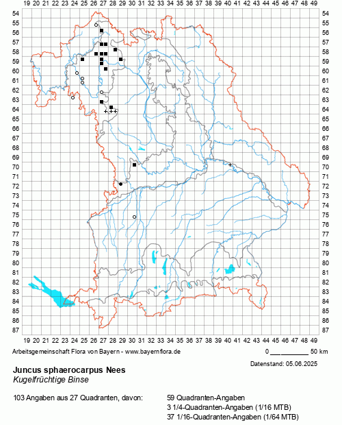 Die Verbreitungskarte zu Juncus sphaerocarpus Nees wird geladen ...