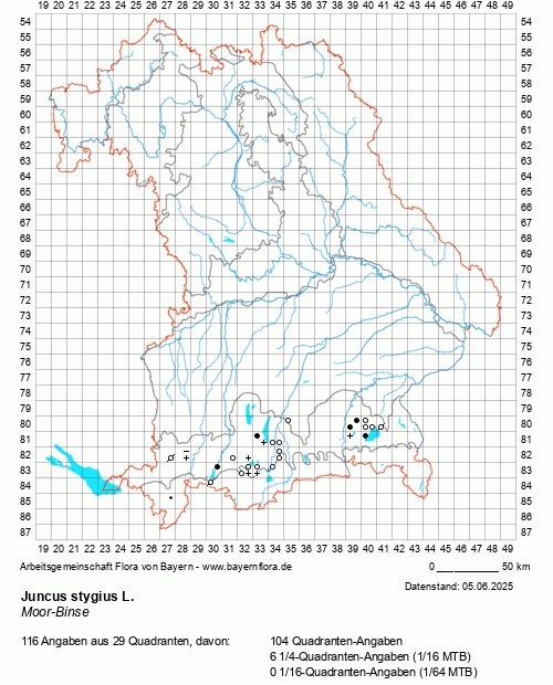 Die Verbreitungskarte zu Juncus stygius L. wird geladen ...