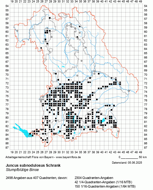 Die Verbreitungskarte zu Juncus subnodulosus Schrank wird geladen ...