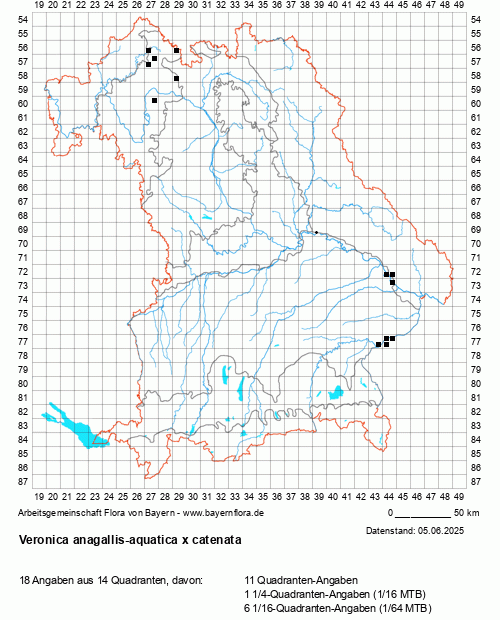 Die Verbreitungskarte zu Veronica anagallis-aquatica x catenata wird geladen ...