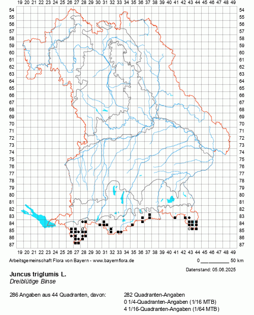 Die Verbreitungskarte zu Juncus triglumis L. wird geladen ...