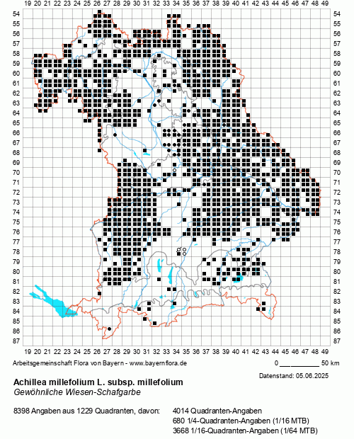 Die Verbreitungskarte zu Achillea millefolium L. subsp. millefolium wird geladen ...