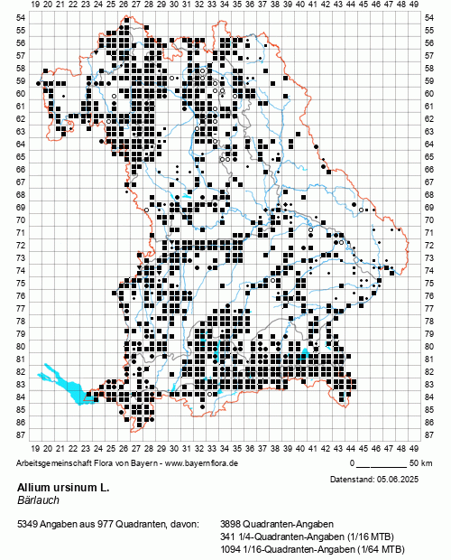 Die Verbreitungskarte zu Allium ursinum L. wird geladen ...