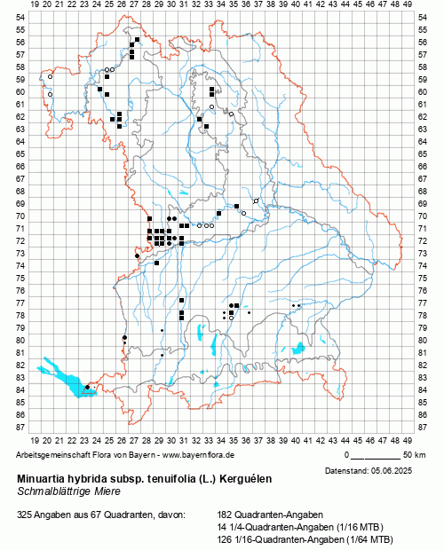 Die Verbreitungskarte zu Minuartia hybrida subsp. tenuifolia (L.) Kerguélen wird geladen ...