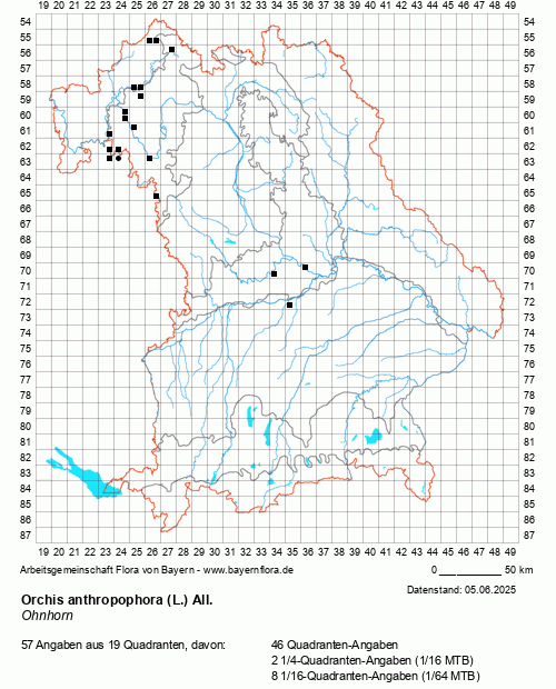 Die Verbreitungskarte zu Orchis anthropophora (L.) All. wird geladen ...