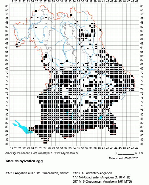 Die Verbreitungskarte zu Knautia sylvatica agg. wird geladen ...