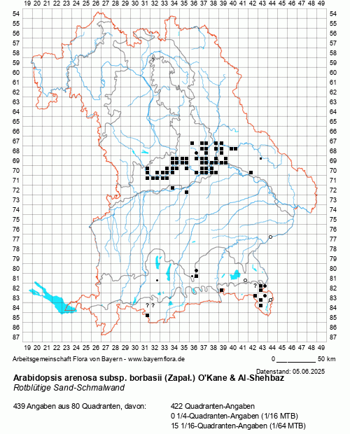 Die Verbreitungskarte zu Arabidopsis arenosa subsp. borbasii (Zapał.) O