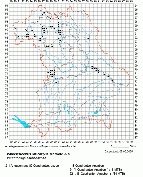 Die Verbreitungskarte zu Bolboschoenus laticarpus Marhold & al. wird geladen ...