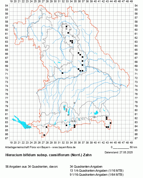 Die Verbreitungskarte zu Hieracium bifidum subsp. caesiiflorum (Norrl.) Zahn wird geladen ...