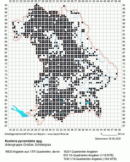 Die Verbreitungskarte zu Koeleria pyramidata agg. wird geladen ...