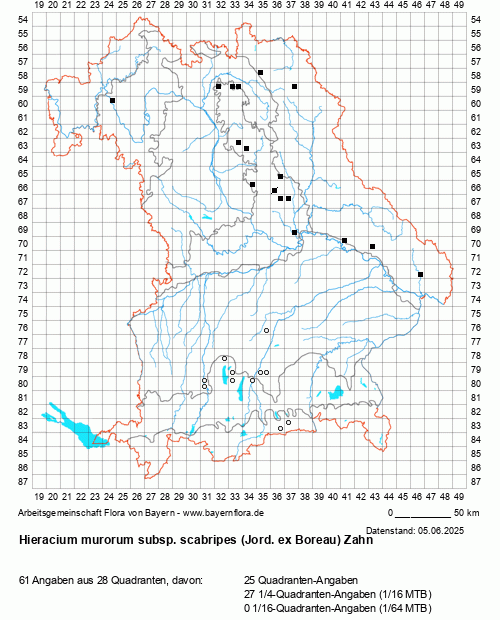 Die Verbreitungskarte zu Hieracium murorum subsp. scabripes (Jord. ex Boreau) Zahn wird geladen ...