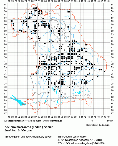 Die Verbreitungskarte zu Koeleria macrantha (Ledeb.) Schult. wird geladen ...